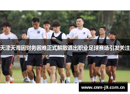 天津天海因财务困难正式解散退出职业足球赛场引发关注 天津天海因财务困难正式解散退出职业足球赛场引发关注
